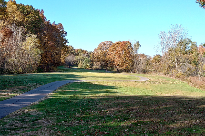 golf course fairway