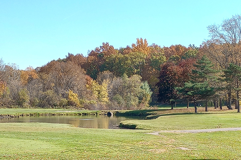 golf course with trees